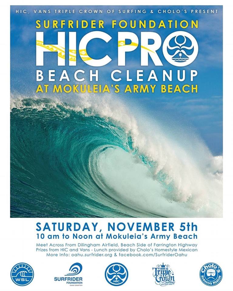 hic-beach-clean_n
