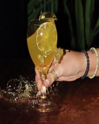 SURF BAR WAIKIKI 200X250 DRINK HAND 3.1.23