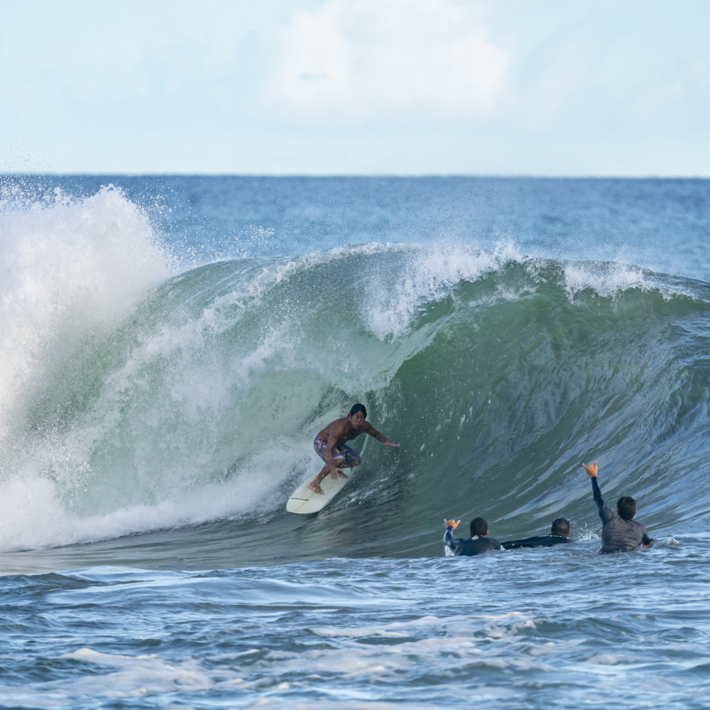 swell-43