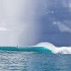 mentawai_bruno_smith
