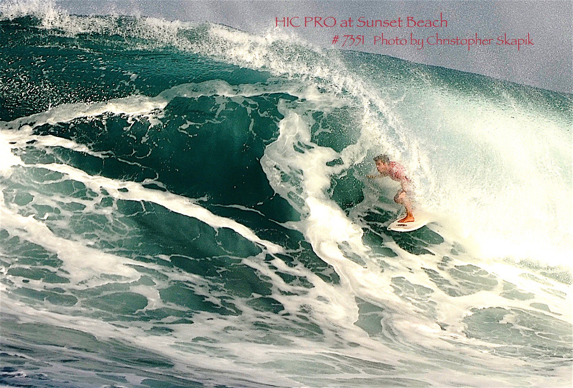hic-pro-csk-7351